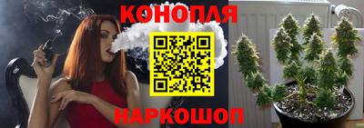 скорость Аргун