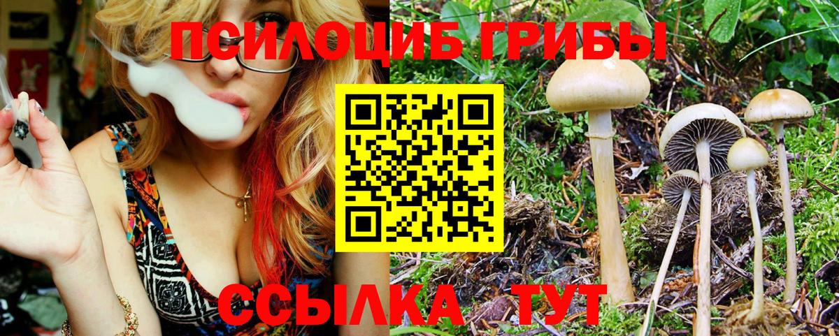 Богородск  Галлюциногенные грибы мицелий  цена   Вход с VPN 